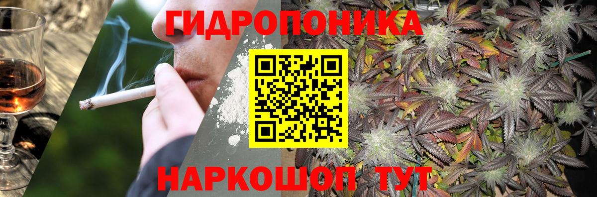 МАРИХУАНА ГИДРОПОН  Бошки Шишки Amnesia  Бердск  Вход с VPN  Бошки Шишки SATIVA & INDICA 